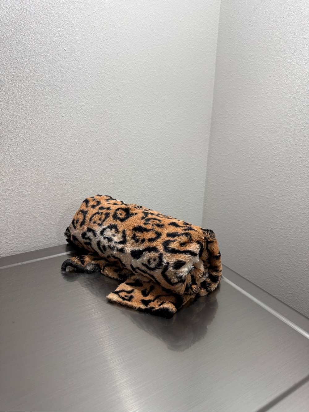 Small tiger blanket
